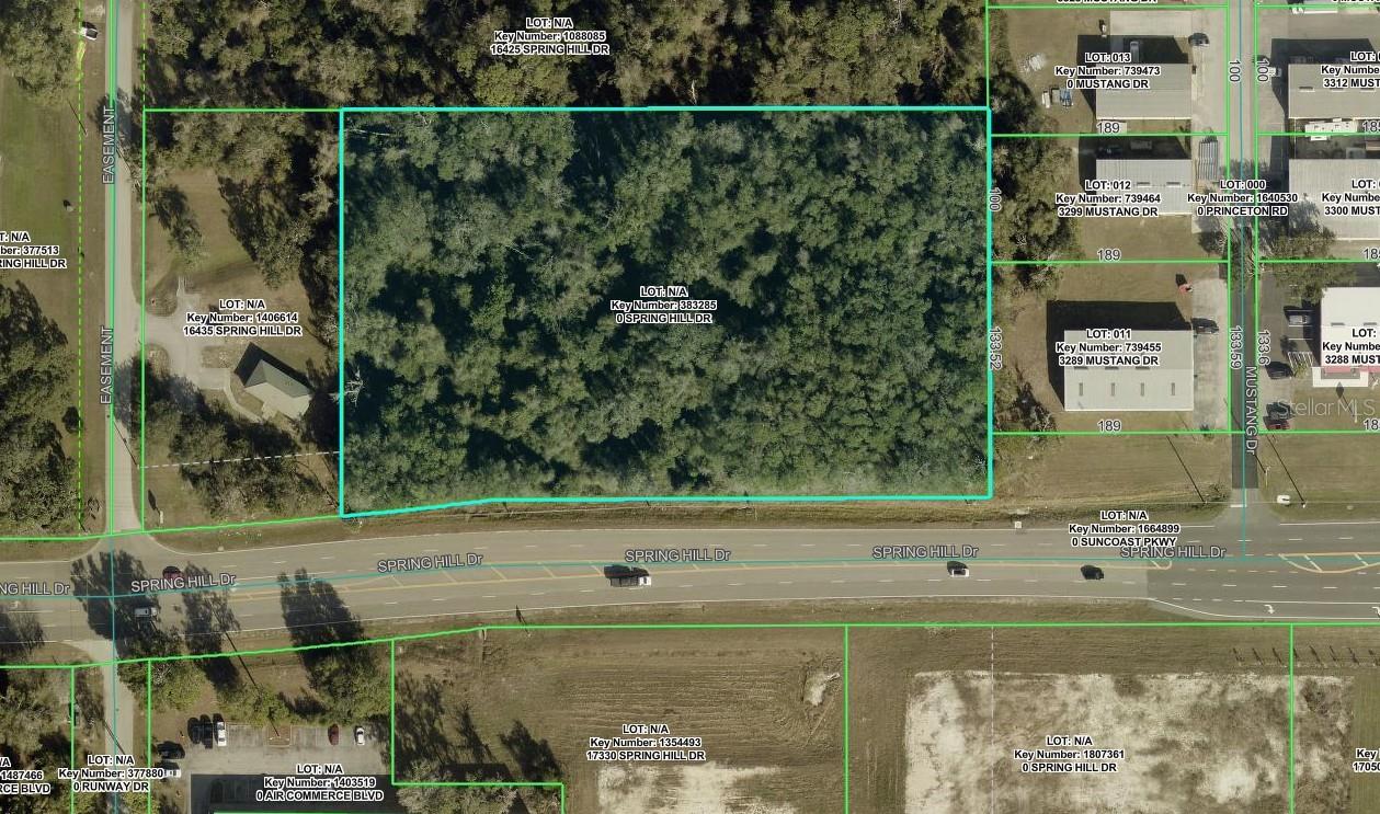 00 Spring Hill Drive, FL