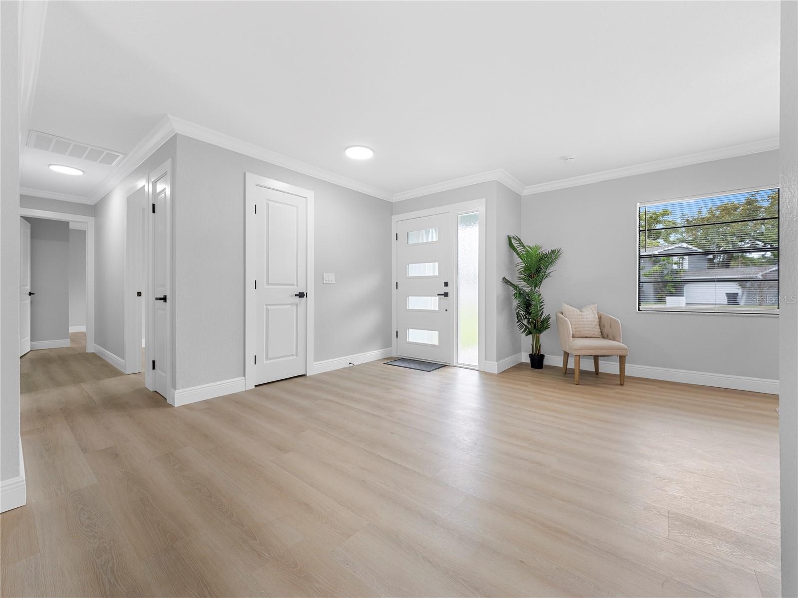 11315 Carrollwood Estates Drive, FL