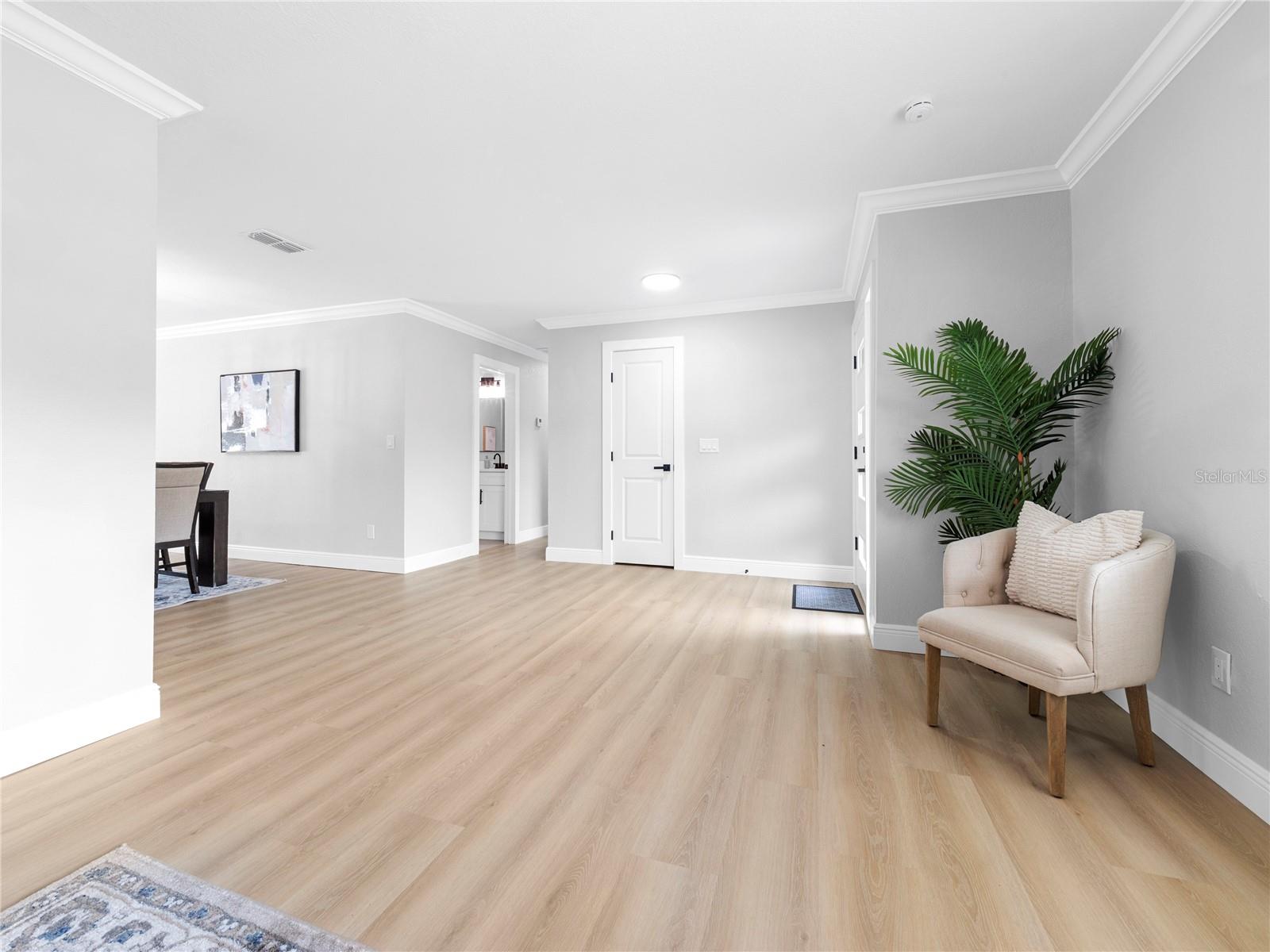 11315 Carrollwood Estates Drive, FL