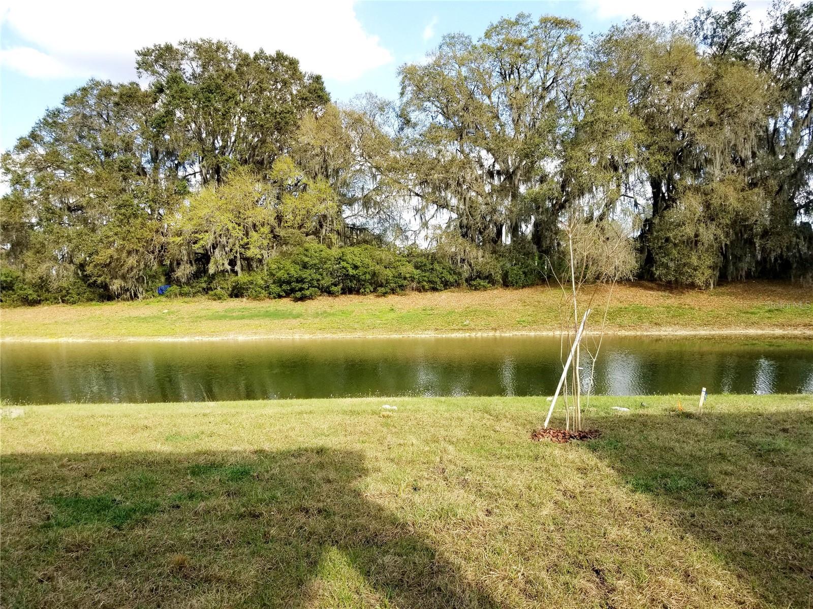 4923 Rolling Green Drive, FL