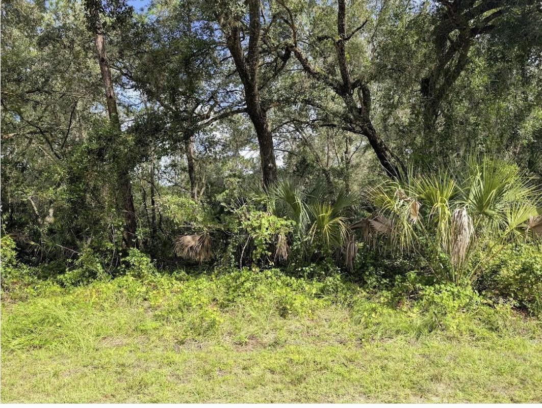 914 Poinciana Drive, FL