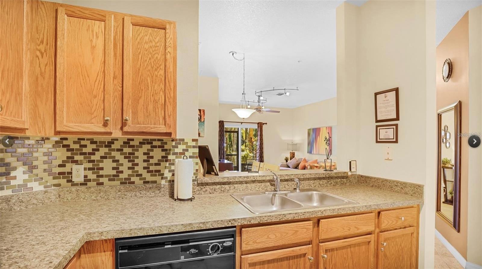 2711 Oakwater Drive, FL