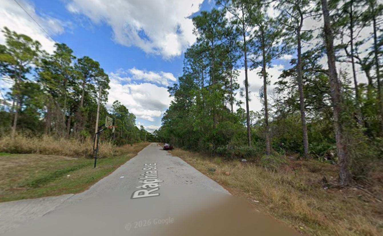1210 Raphia Street, FL