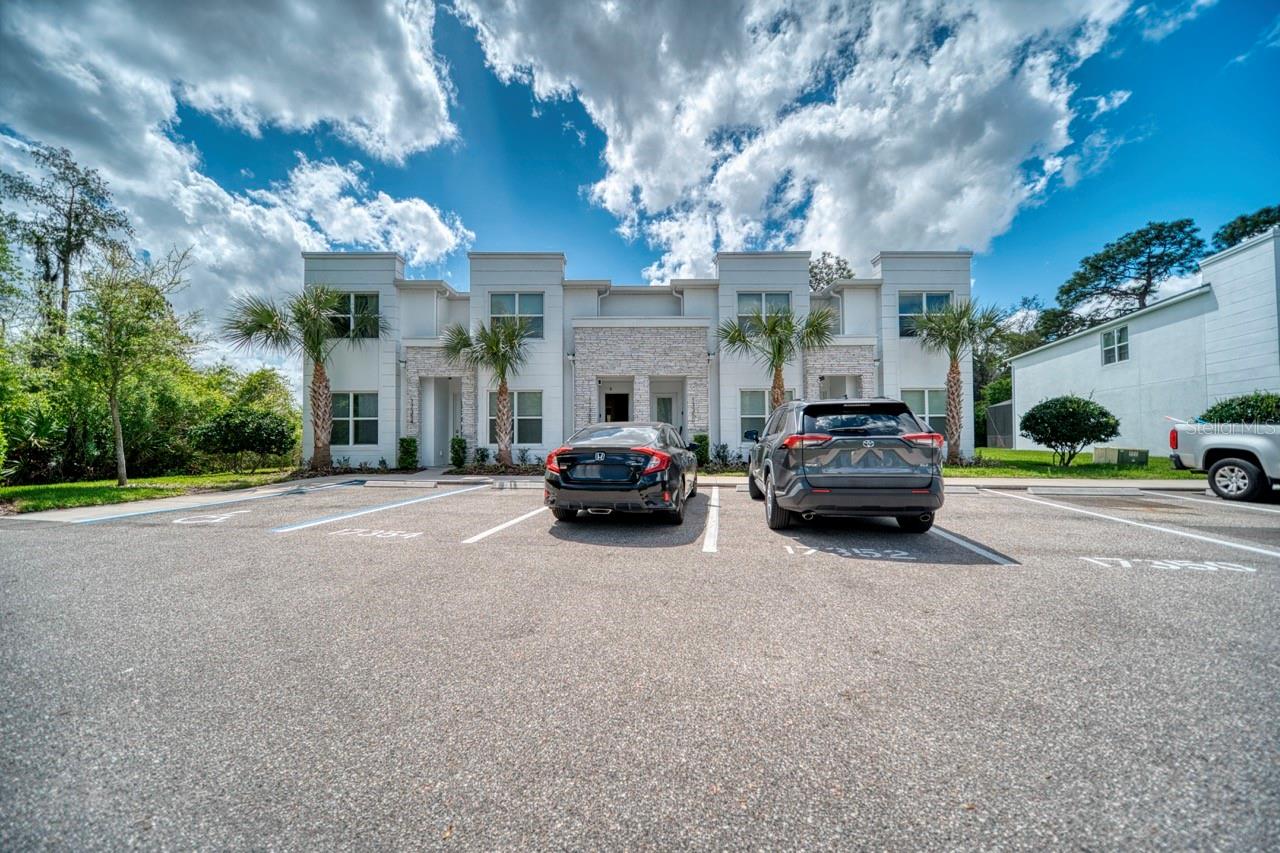 17352 Blessing Drive, FL