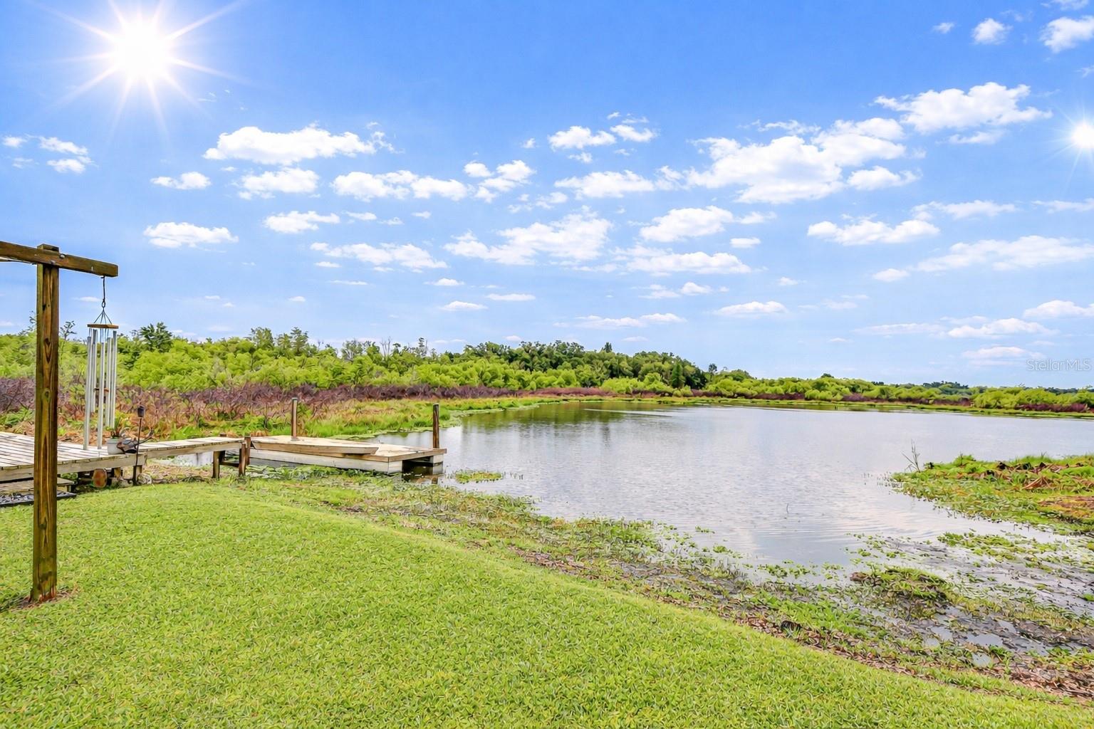 1216 Brandon Lakes Avenue, FL