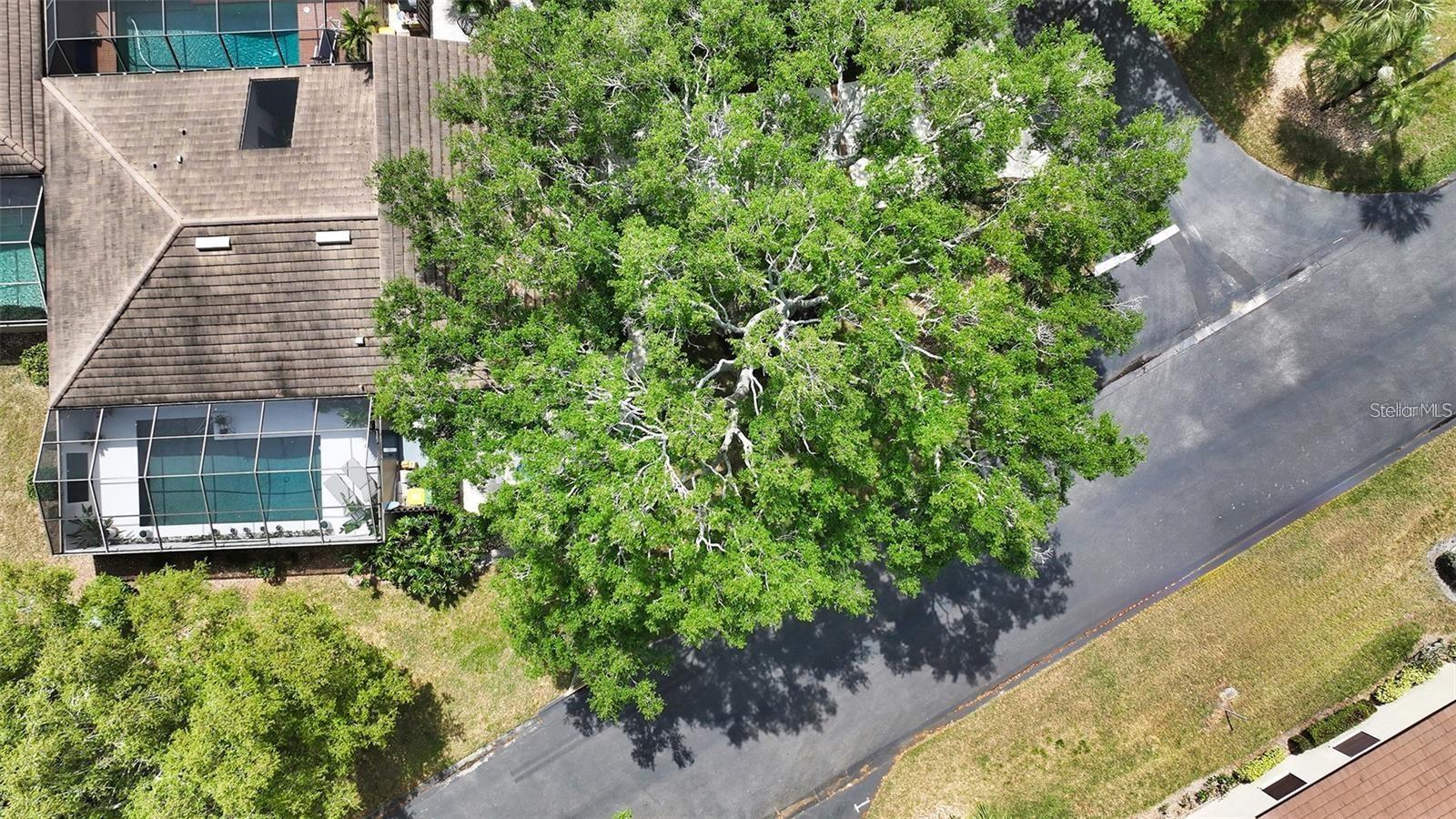 3842 Glen Oaks Manor Drive, FL
