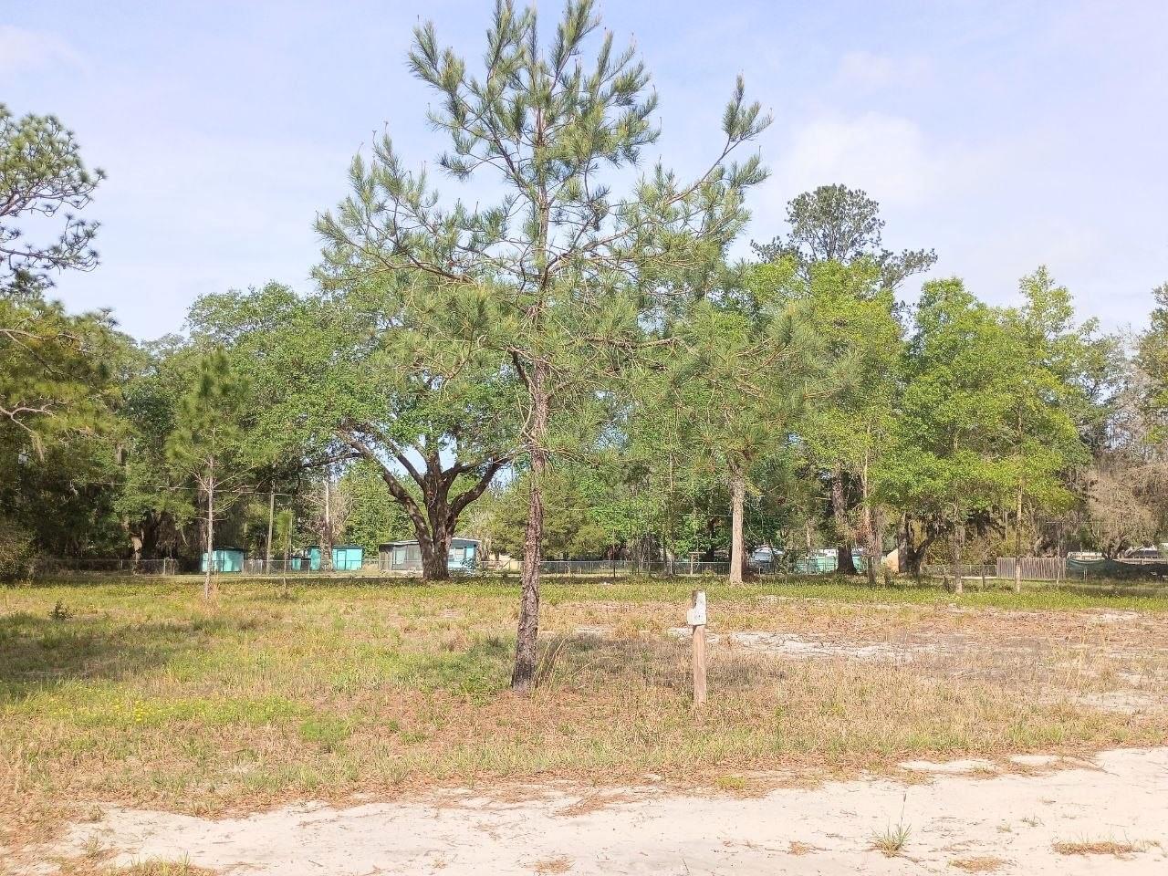 Ne 141st Ct, FL