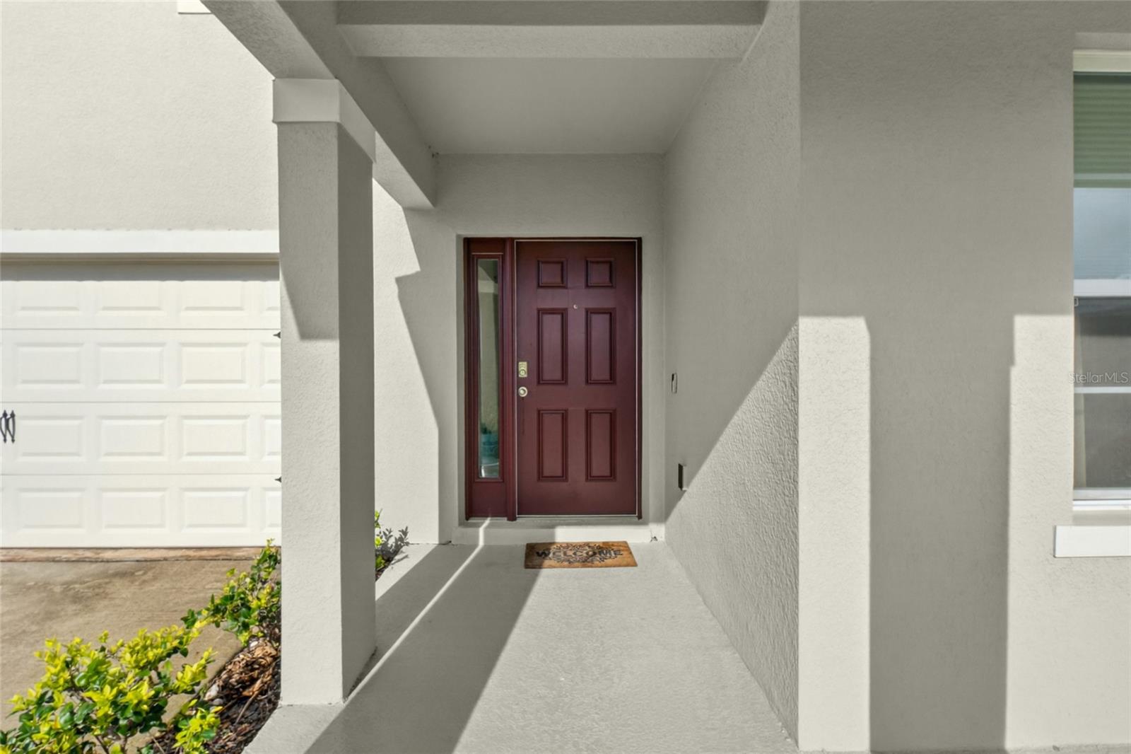 9649 Black Walnut Drive, FL