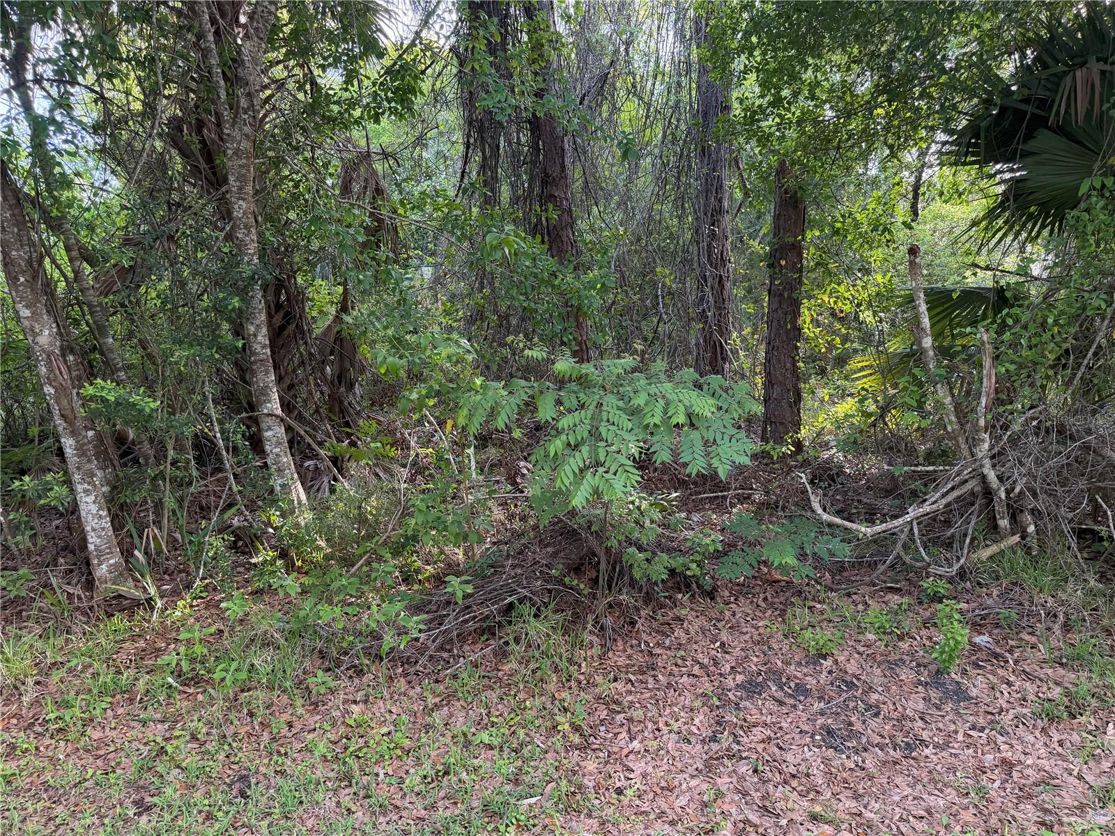 11 Patrick Place, FL