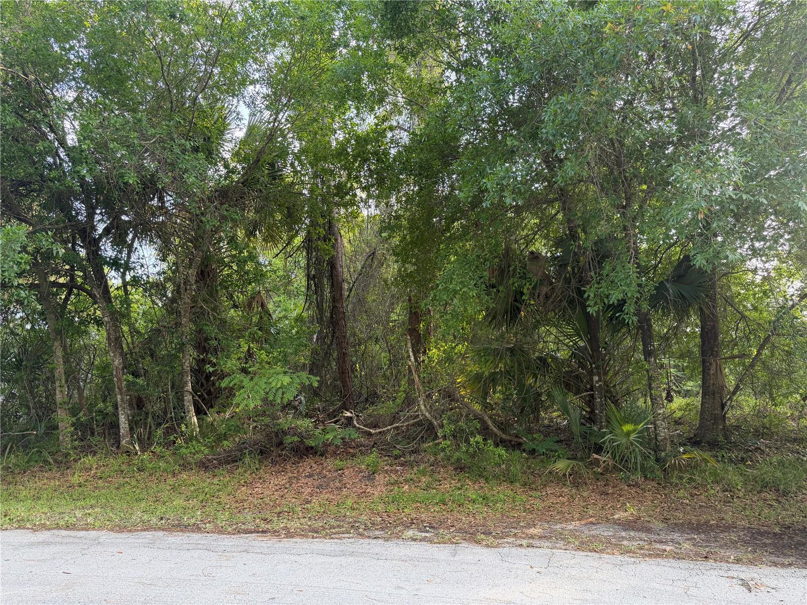11 Patrick Place, FL