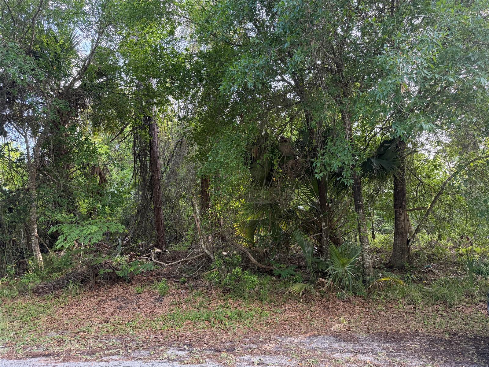 11 Patrick Place, FL