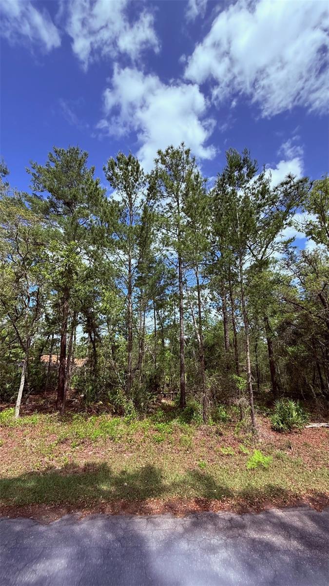 Lot 15 Bay Court, FL