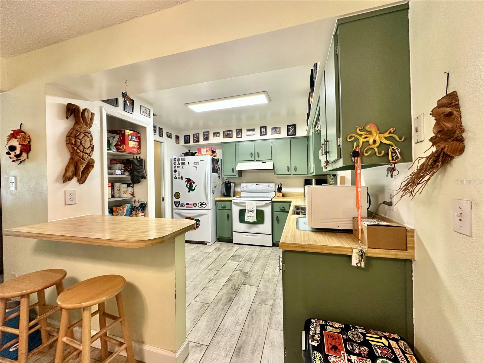 8262 Deming Drive, FL
