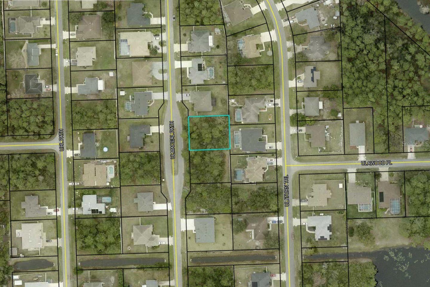 25 Ulmaceal Path, FL