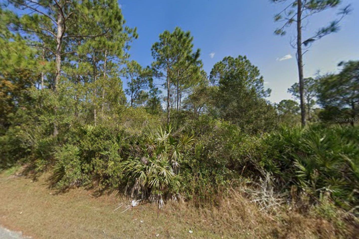 25 Ulmaceal Path, FL