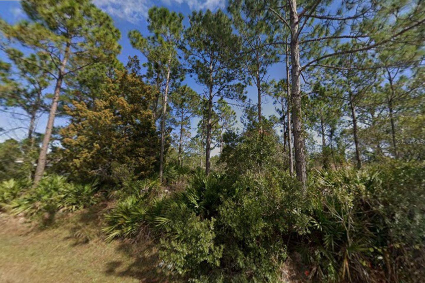 25 Ulmaceal Path, FL