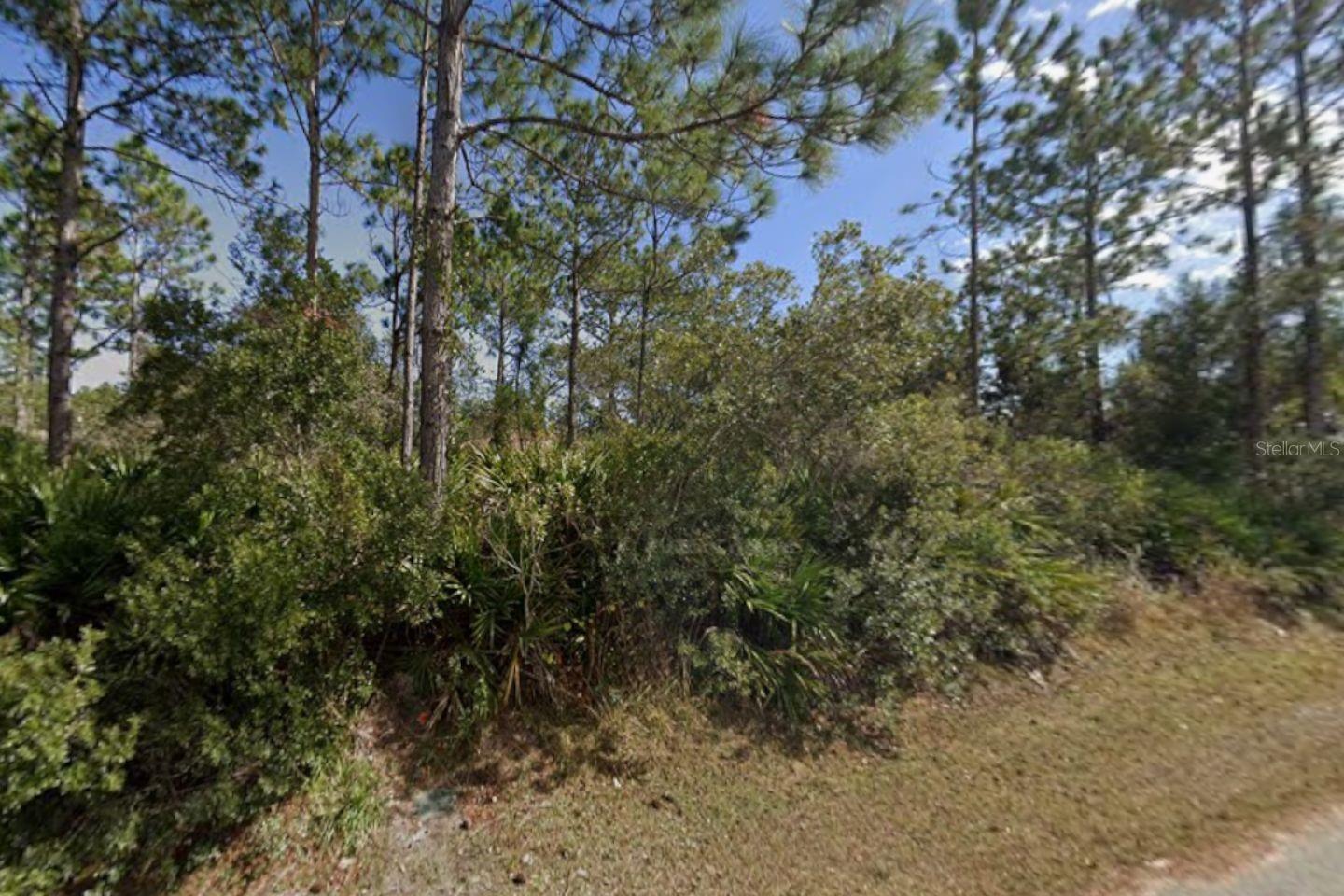 25 Ulmaceal Path, FL