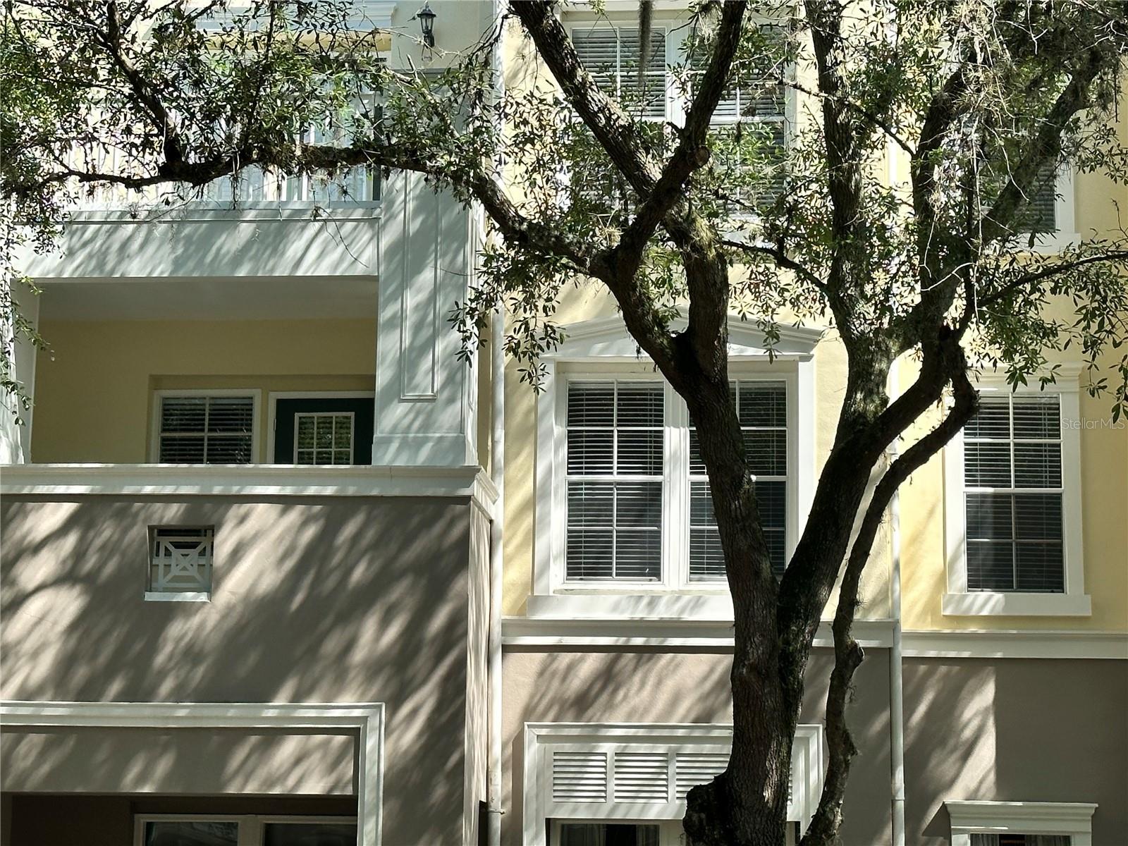 729 Celebration Avenue, FL