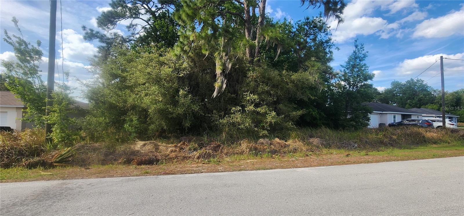 Lot 19 Dogwood Drive Loop, FL