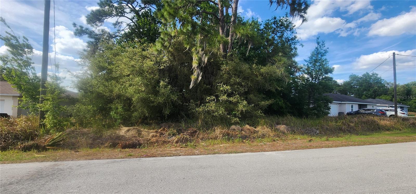 Lot 19 Dogwood Drive Loop, FL