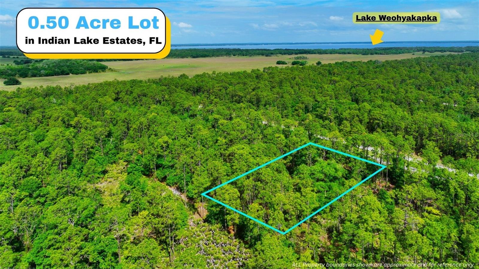 Tbd Lot 20 Japonica Avenue, FL
