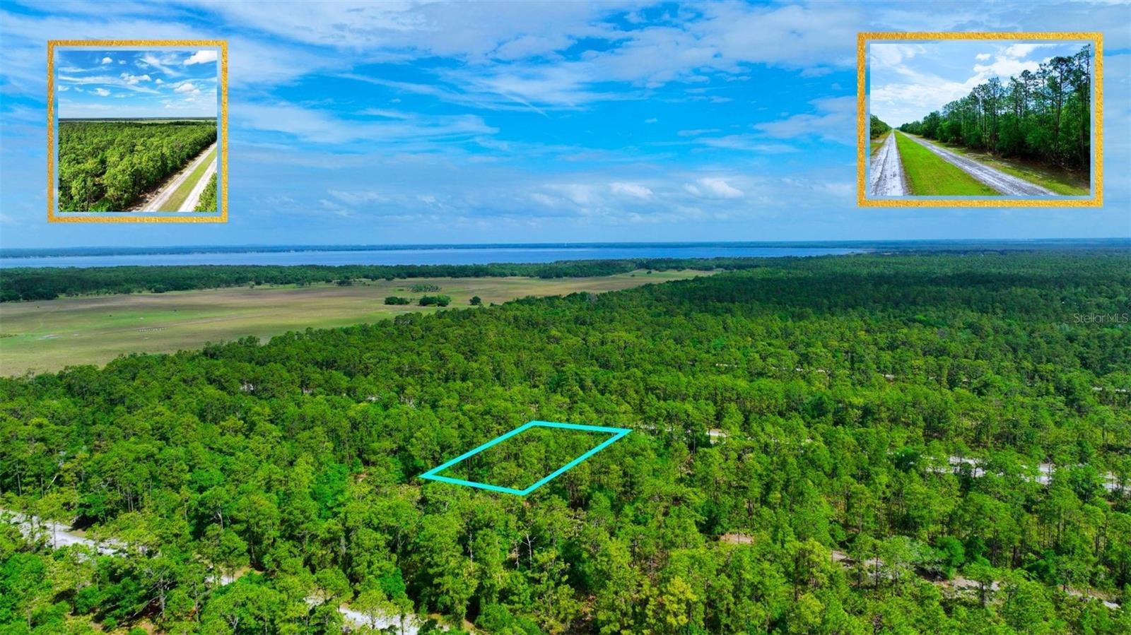 Tbd Lot 20 Japonica Avenue, FL
