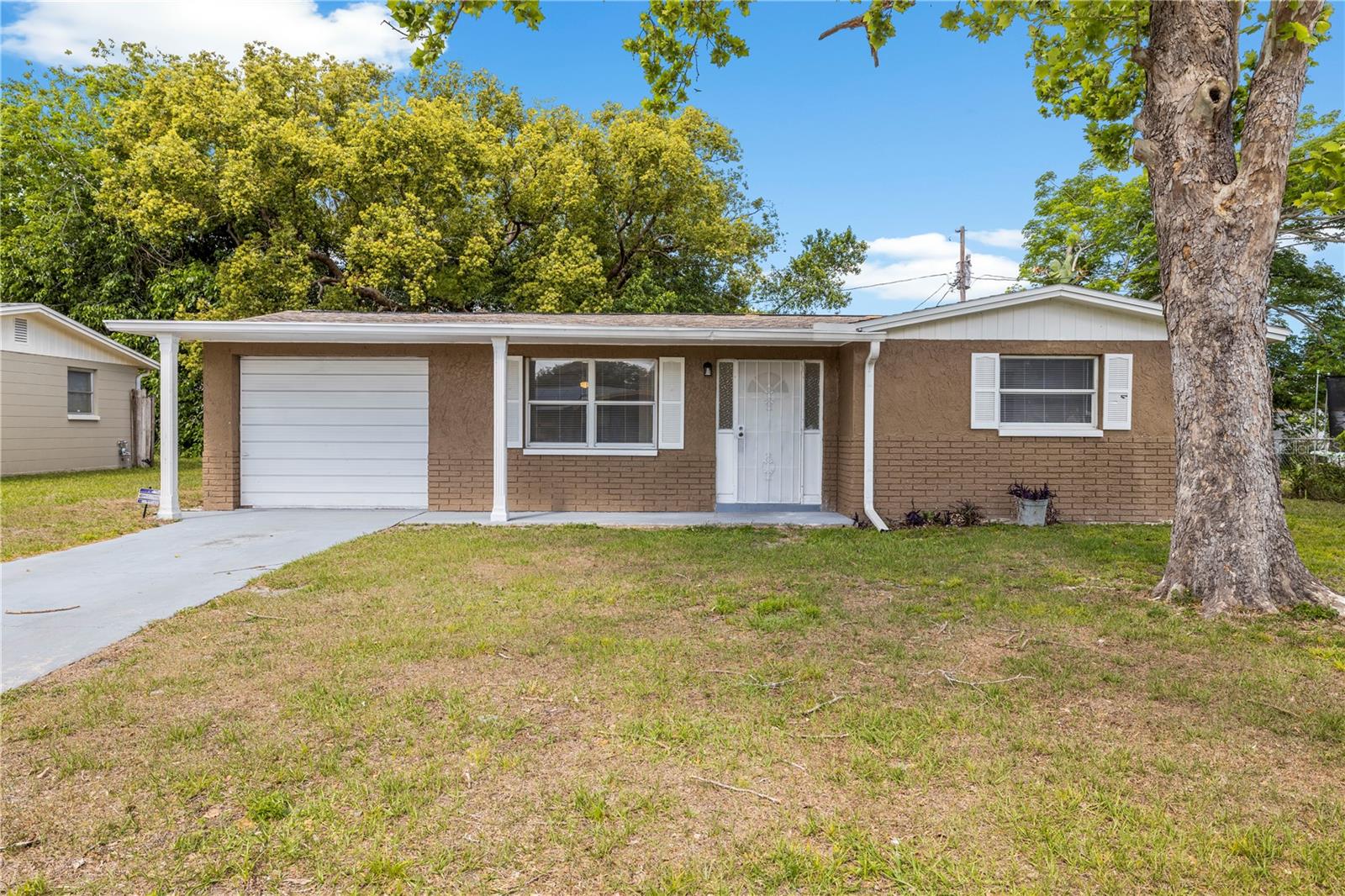 10803 Hyssop Street, FL