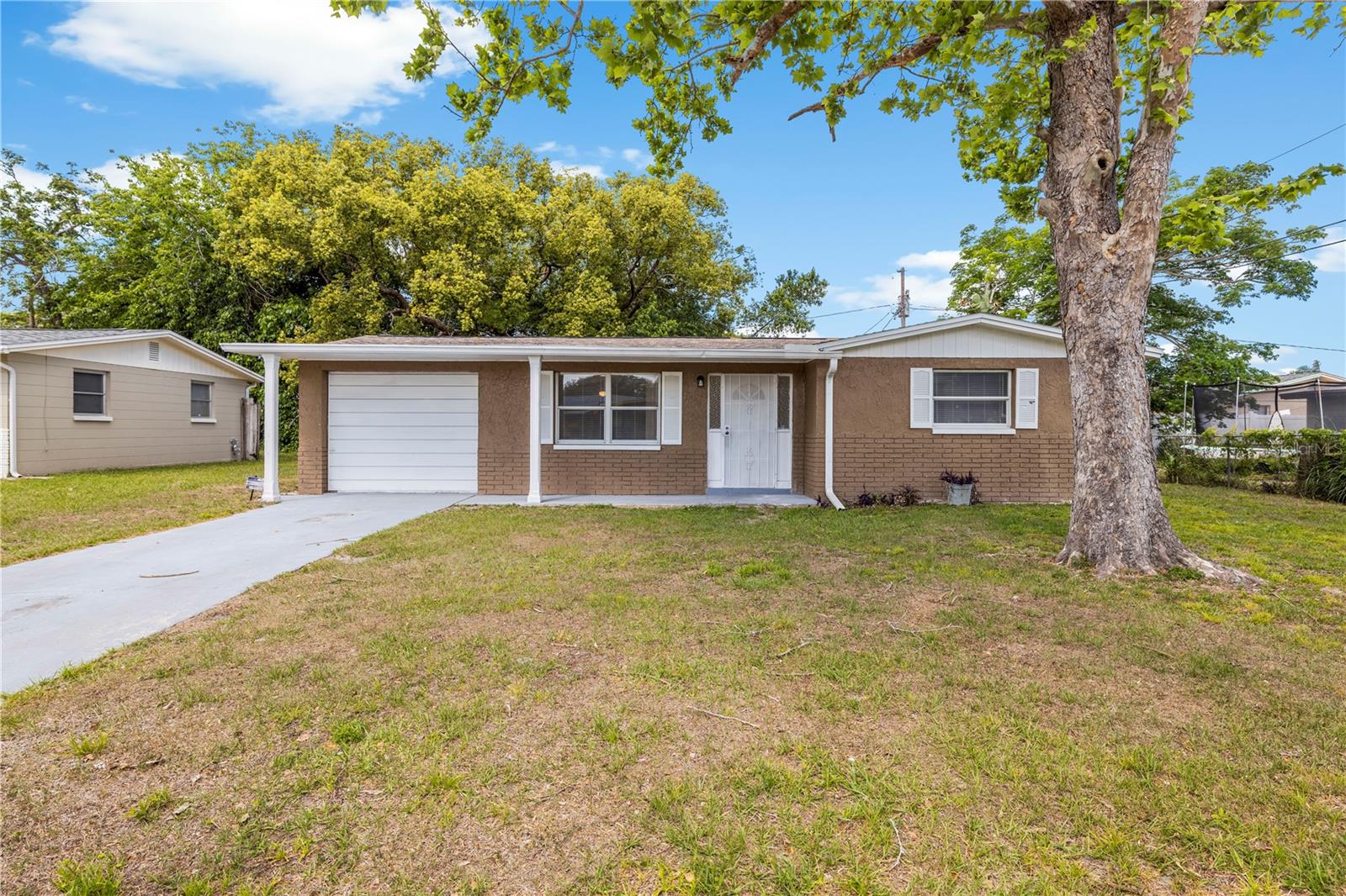 10803 Hyssop Street, FL