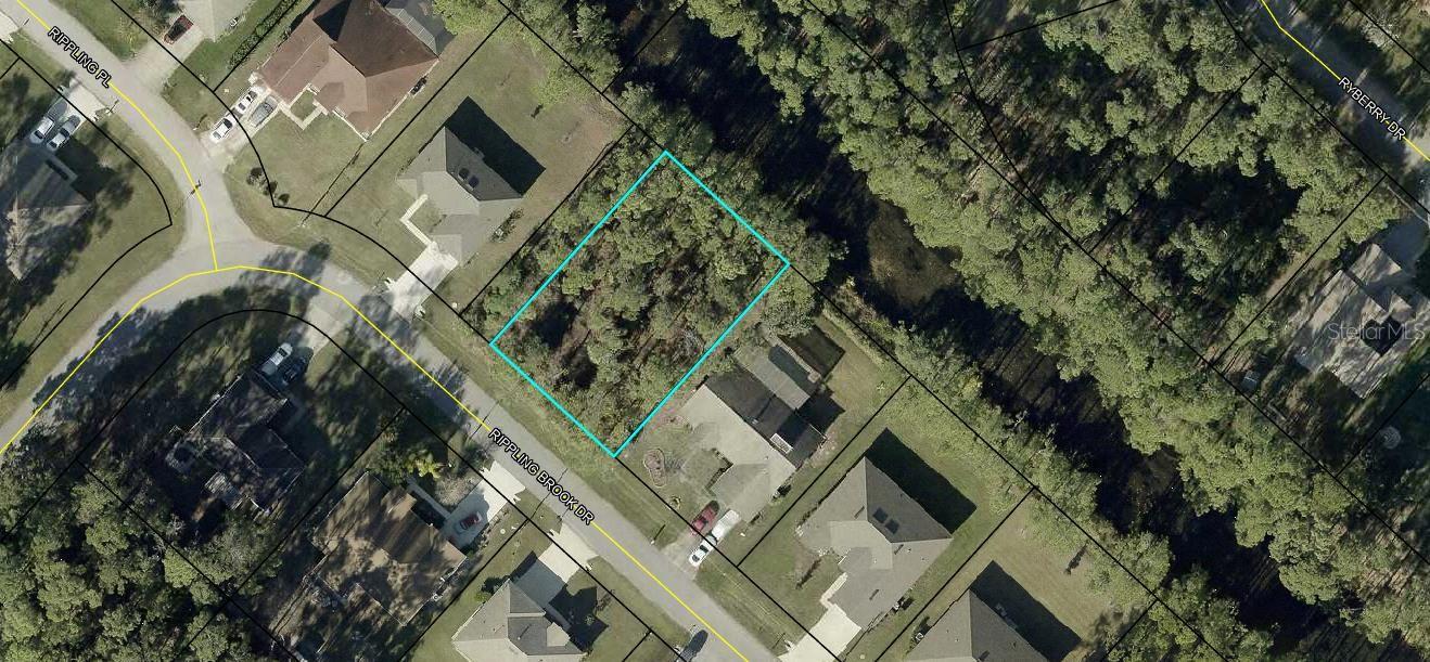15 Rippling Brook Drive, FL