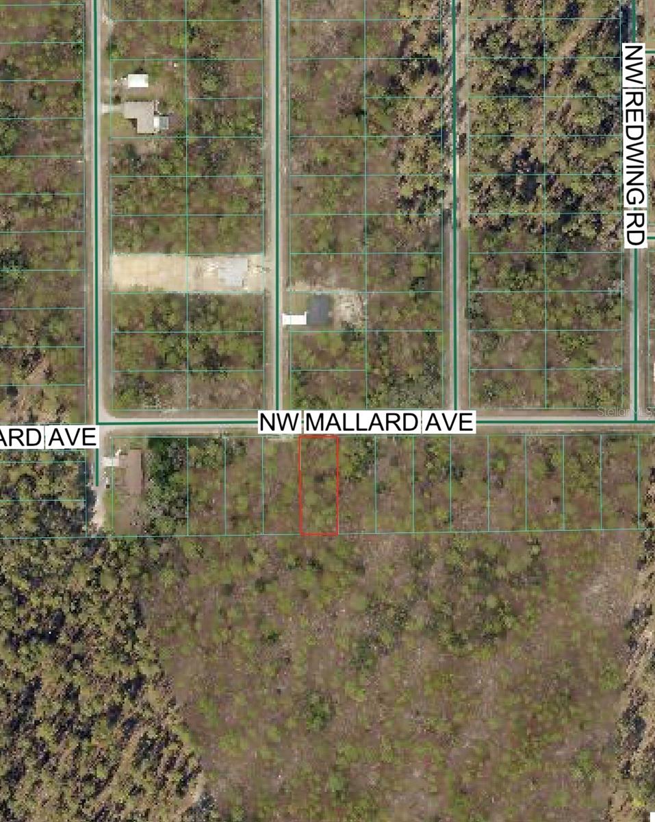 Mallard Avenue, FL