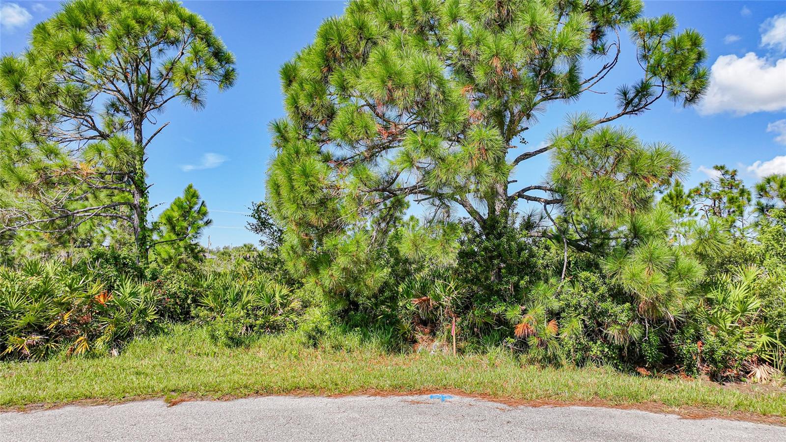 12 Dog Court, FL