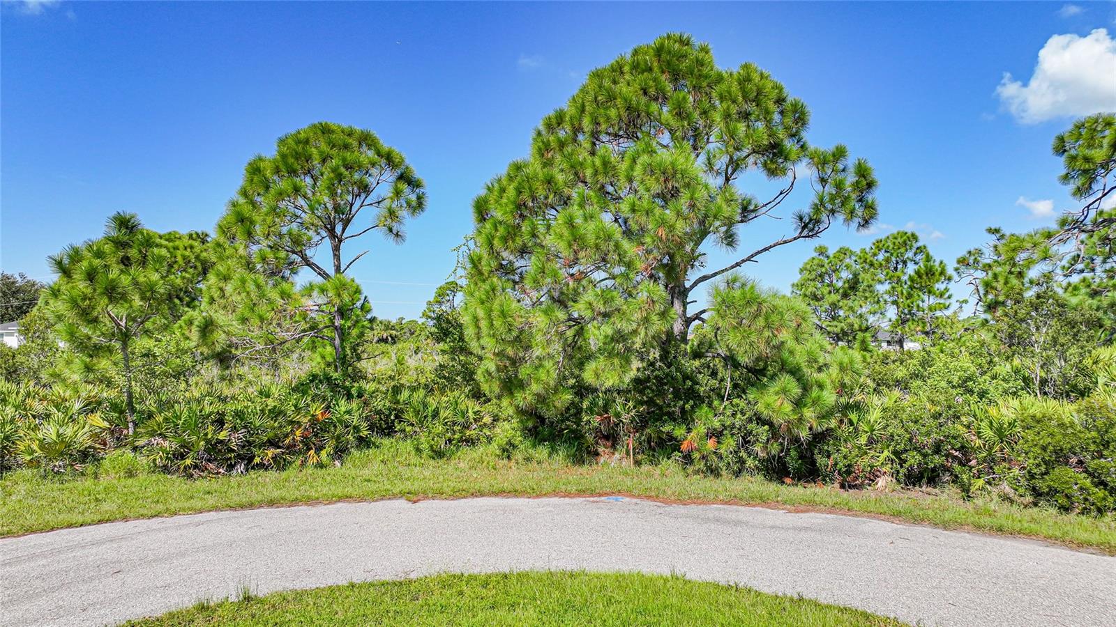 12 Dog Court, FL