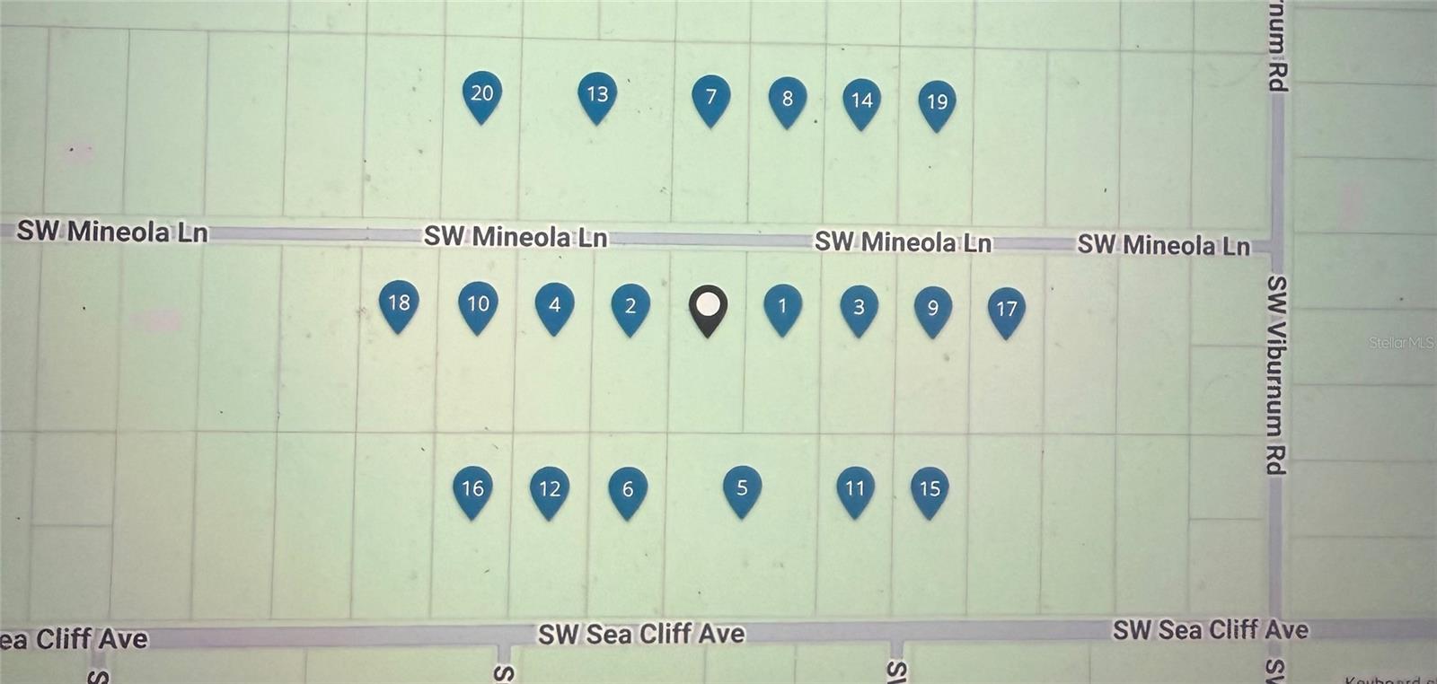 Lot# 8 Mineola Lane, FL