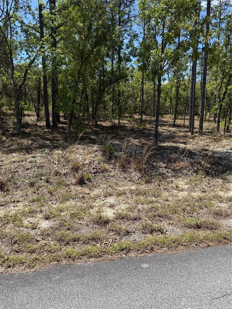 Lot# 8 Mineola Lane, FL