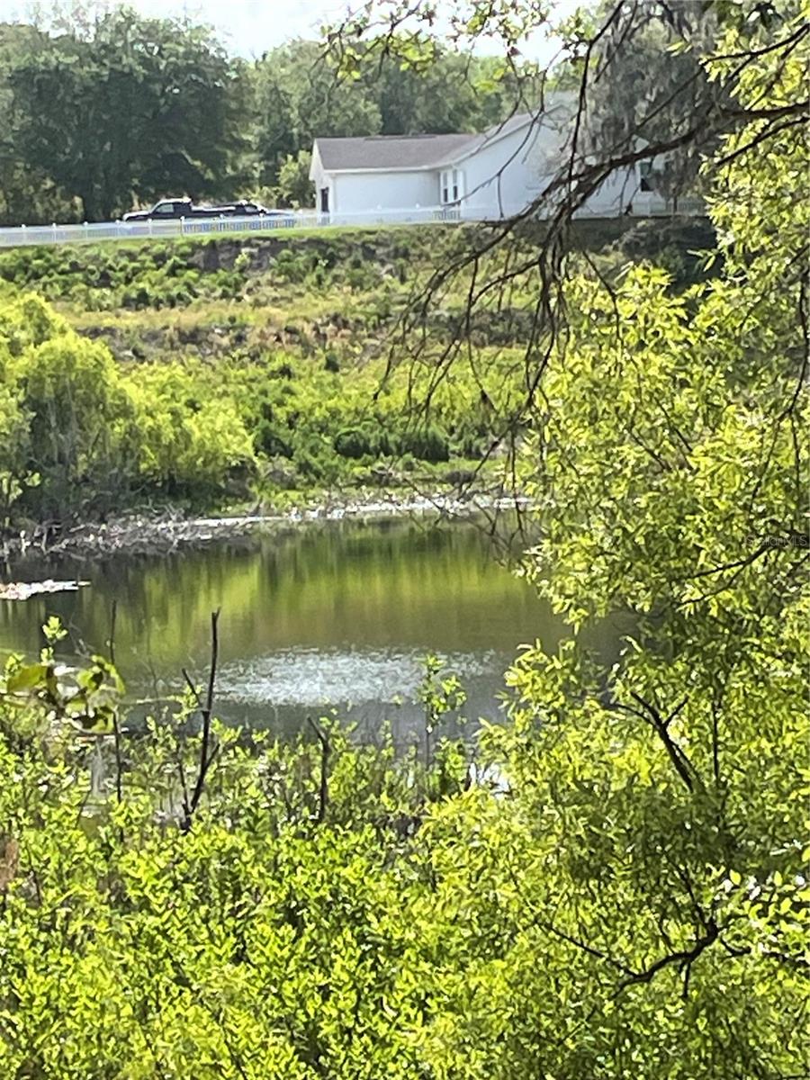 Redbud Road, FL