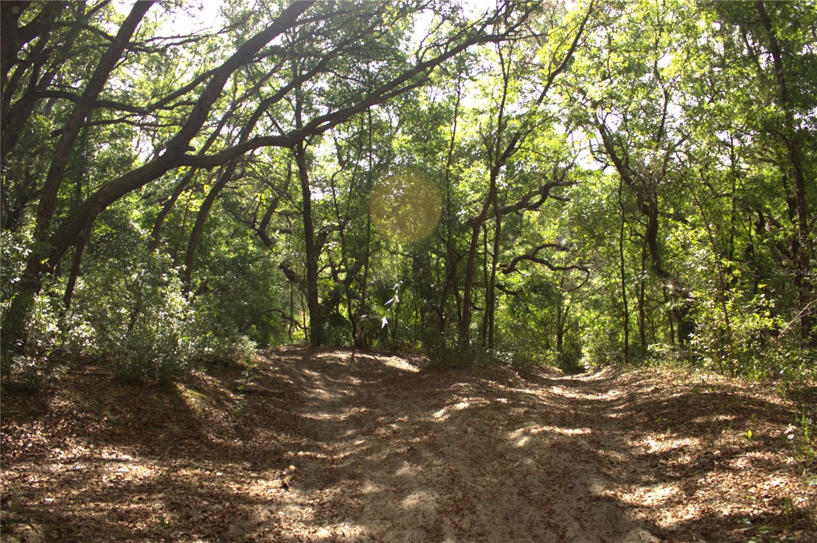 Redbud Road, FL