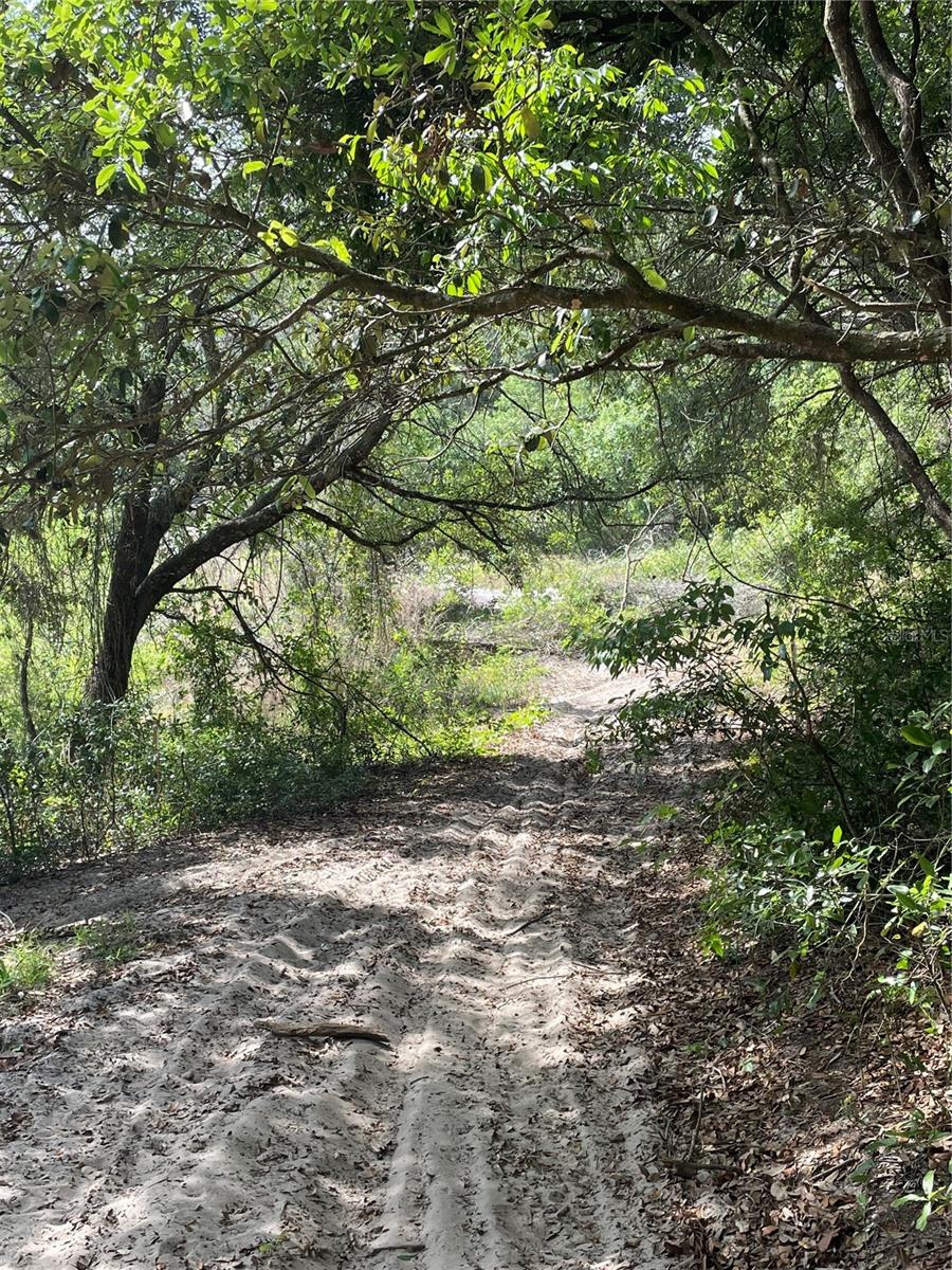 Redbud Road, FL