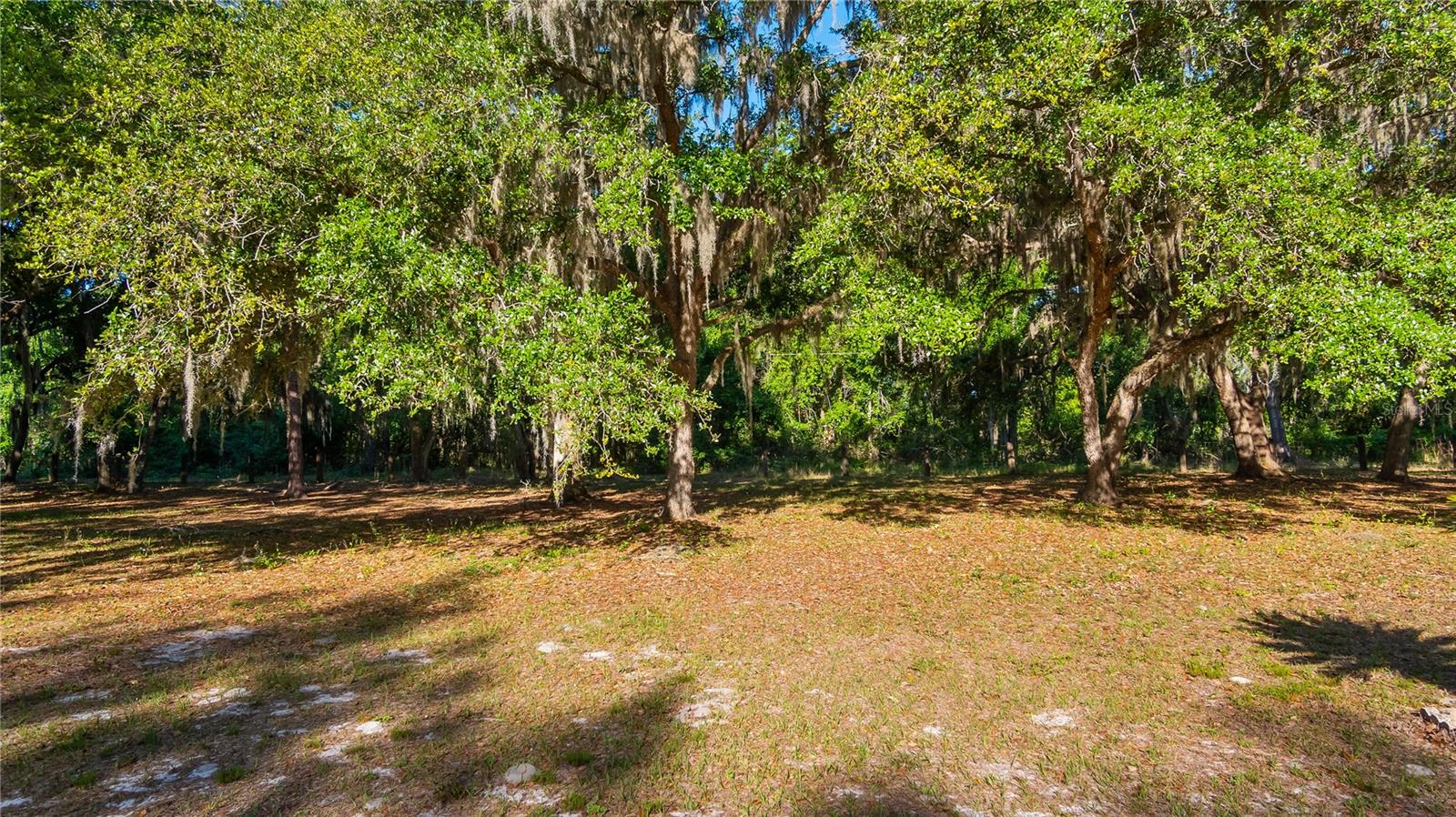 Legacy Woods, FL