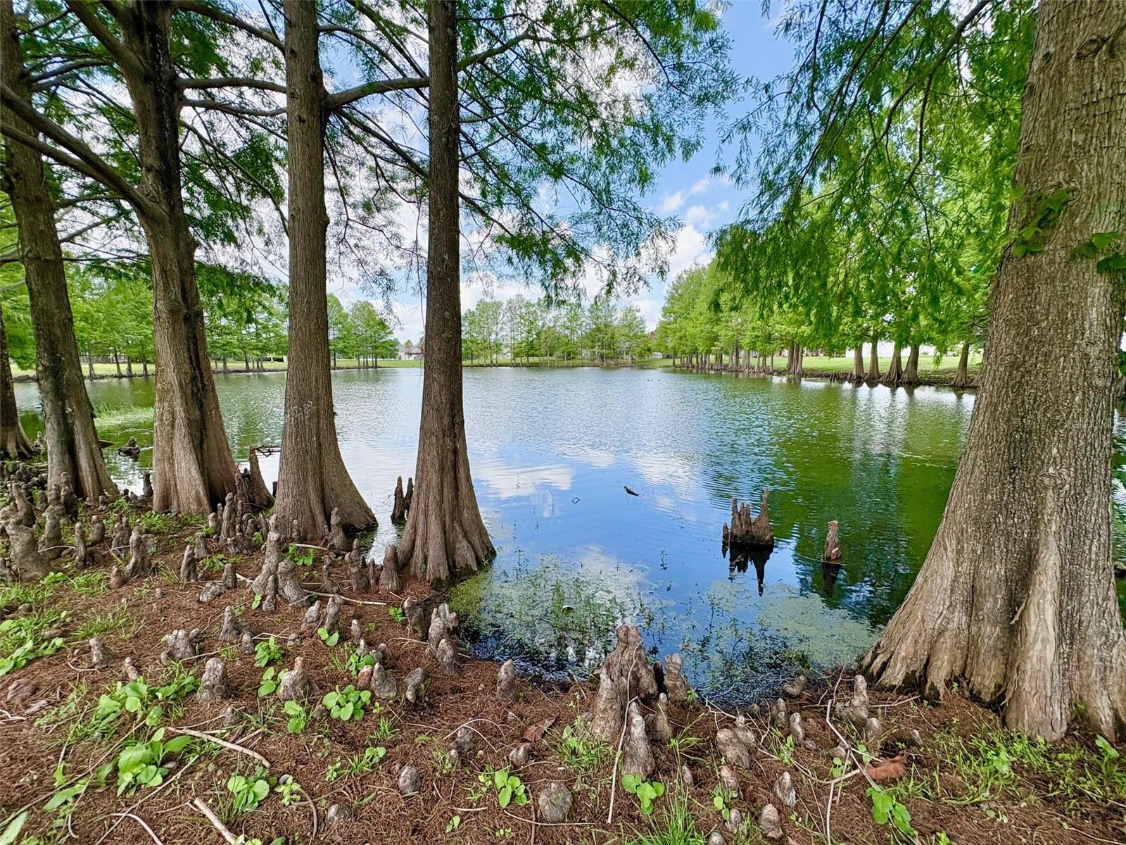 2813 Rolling Broak Drive, FL