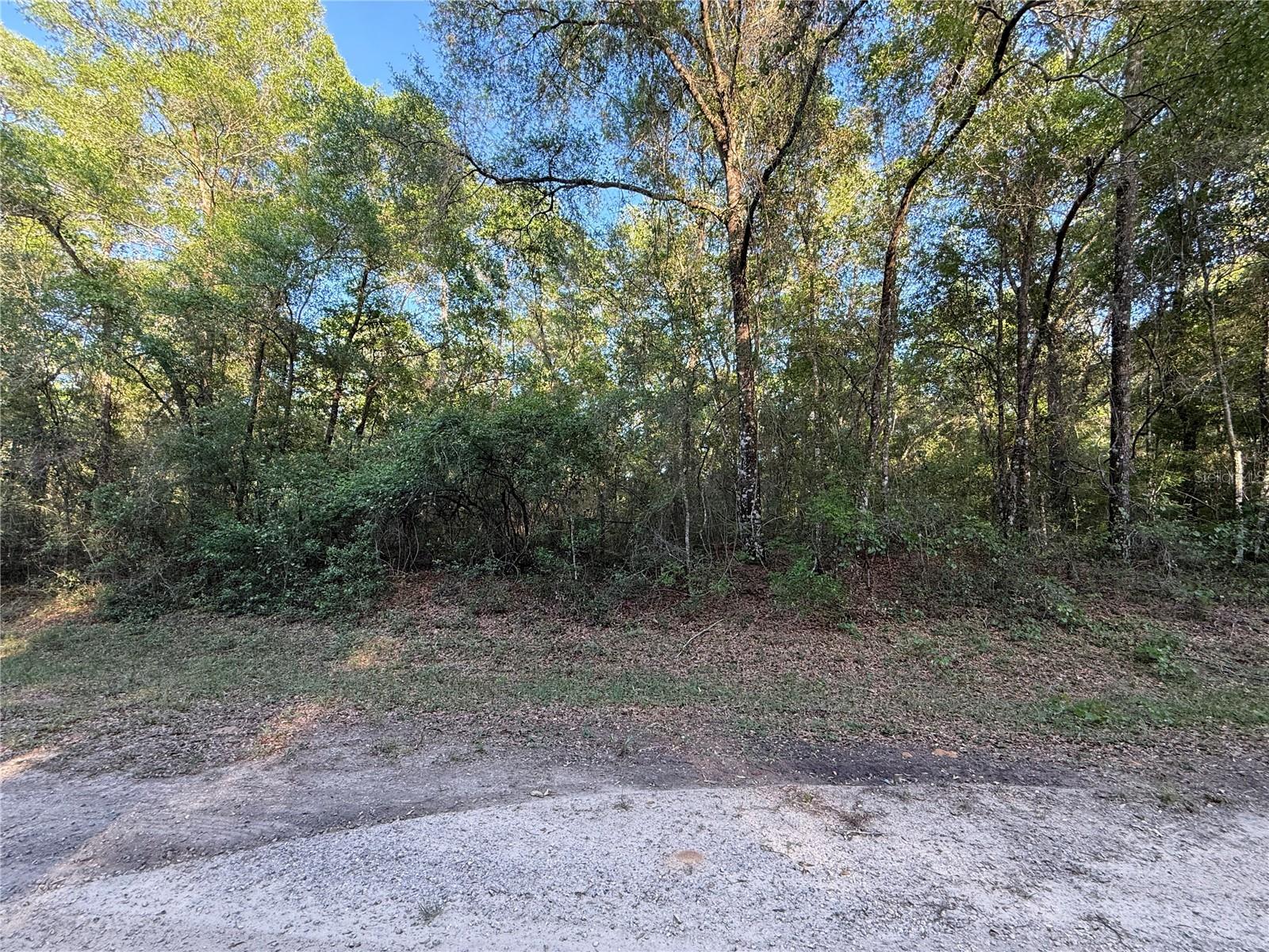 762 Elgrove Drive, FL