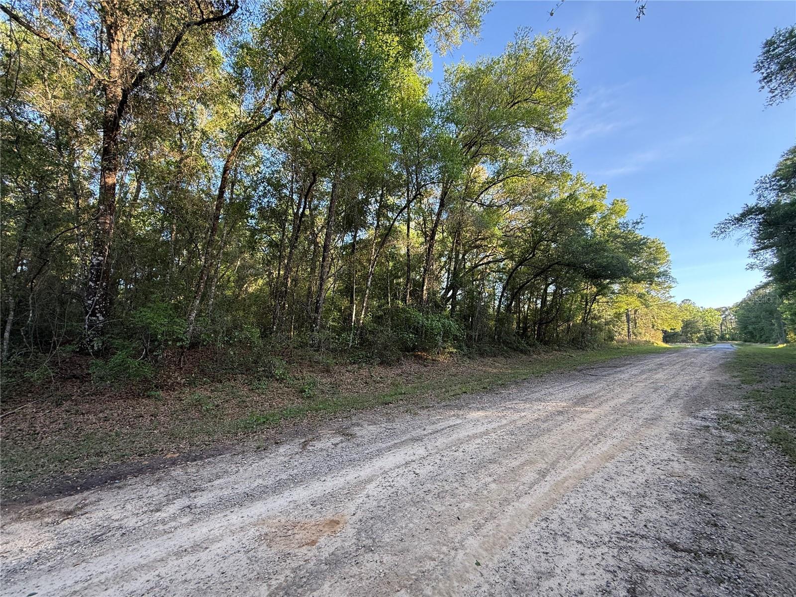 762 Elgrove Drive, FL