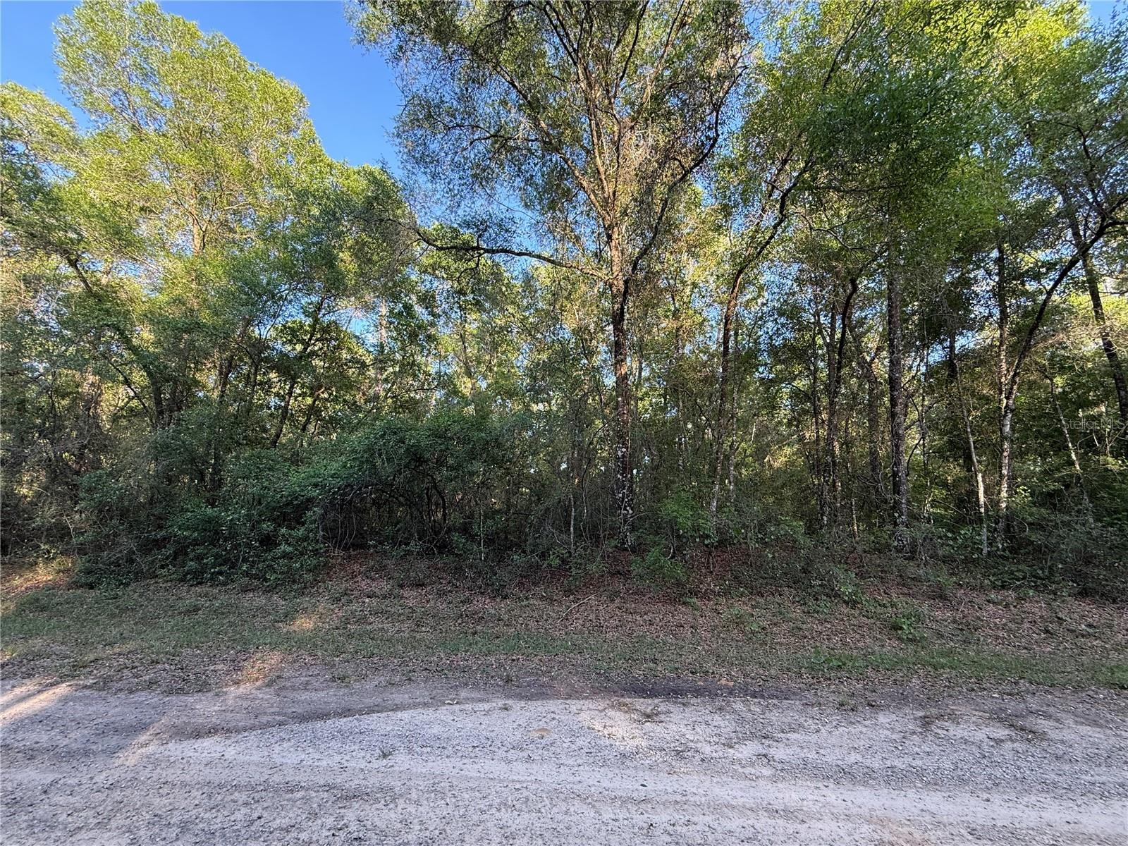 780 Elgrove Drive, FL