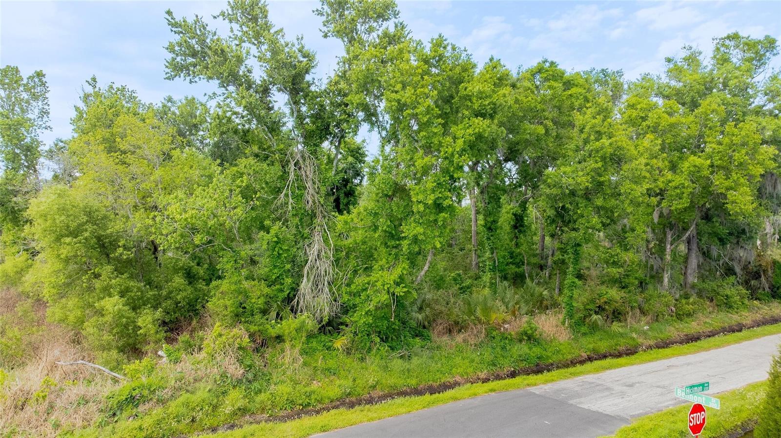 Hickman Avenue, FL