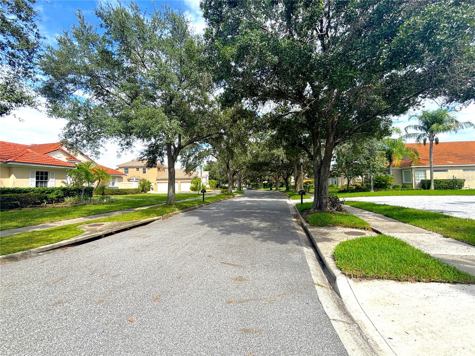 2457 Baesel View Drive, FL