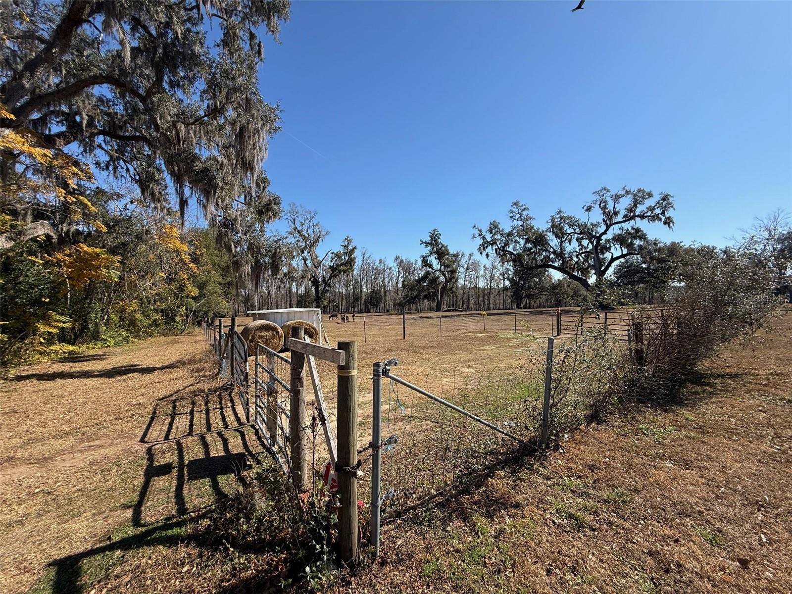 37214 Hester Road, FL