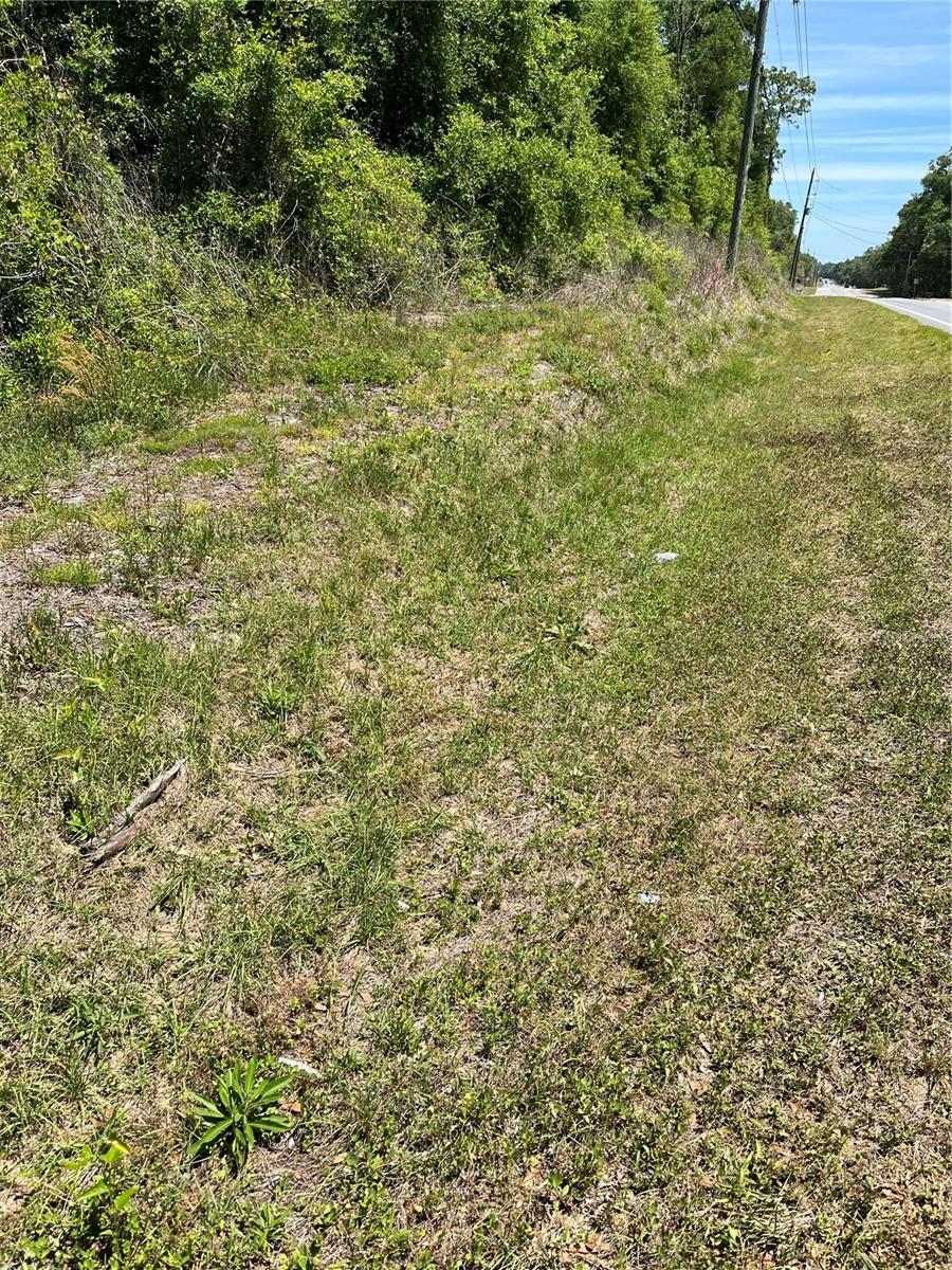 Lot 12 Hwy 40, FL
