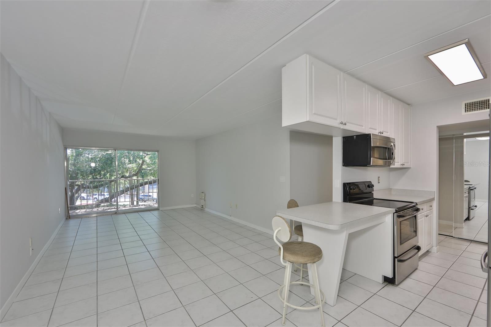 3325 Bayshore Boulevard, FL
