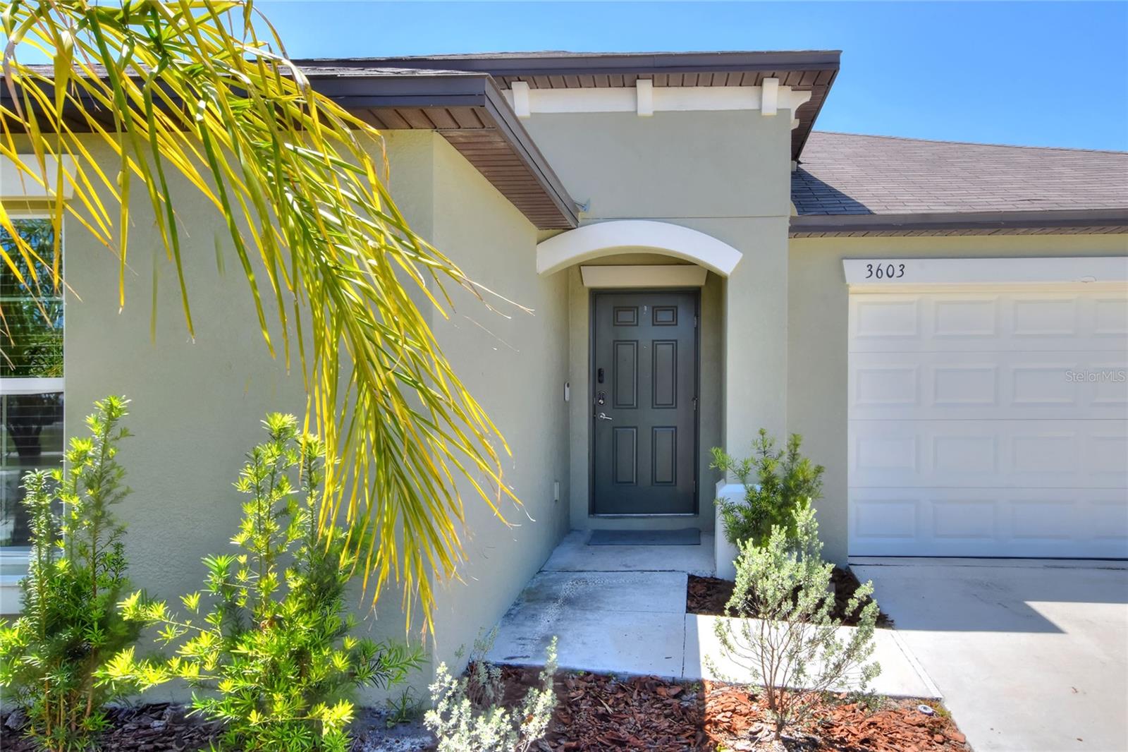 3603 Natural Trace Street, FL