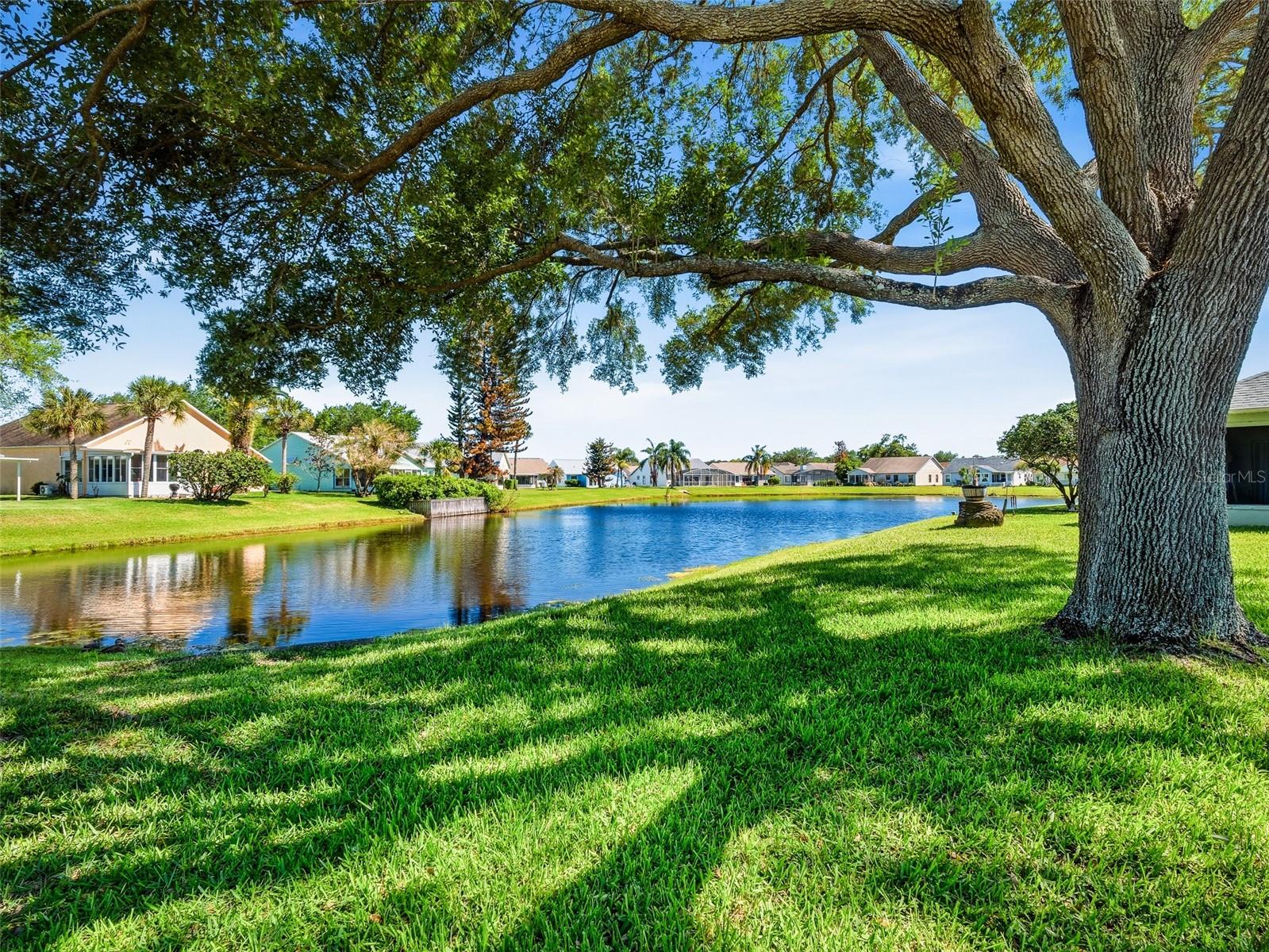 659 Wellesley Court, FL