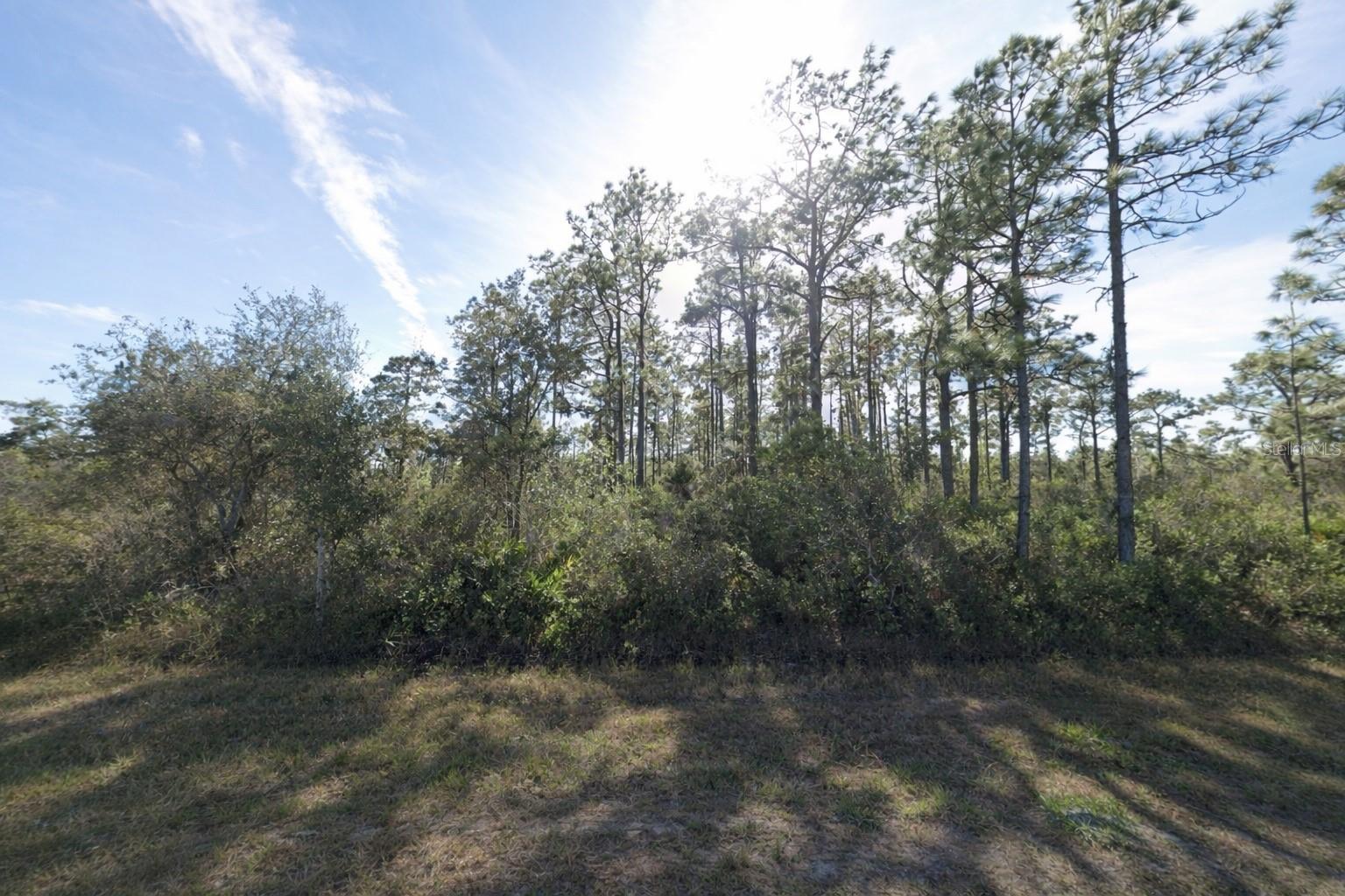 Gaillardia Drive, FL
